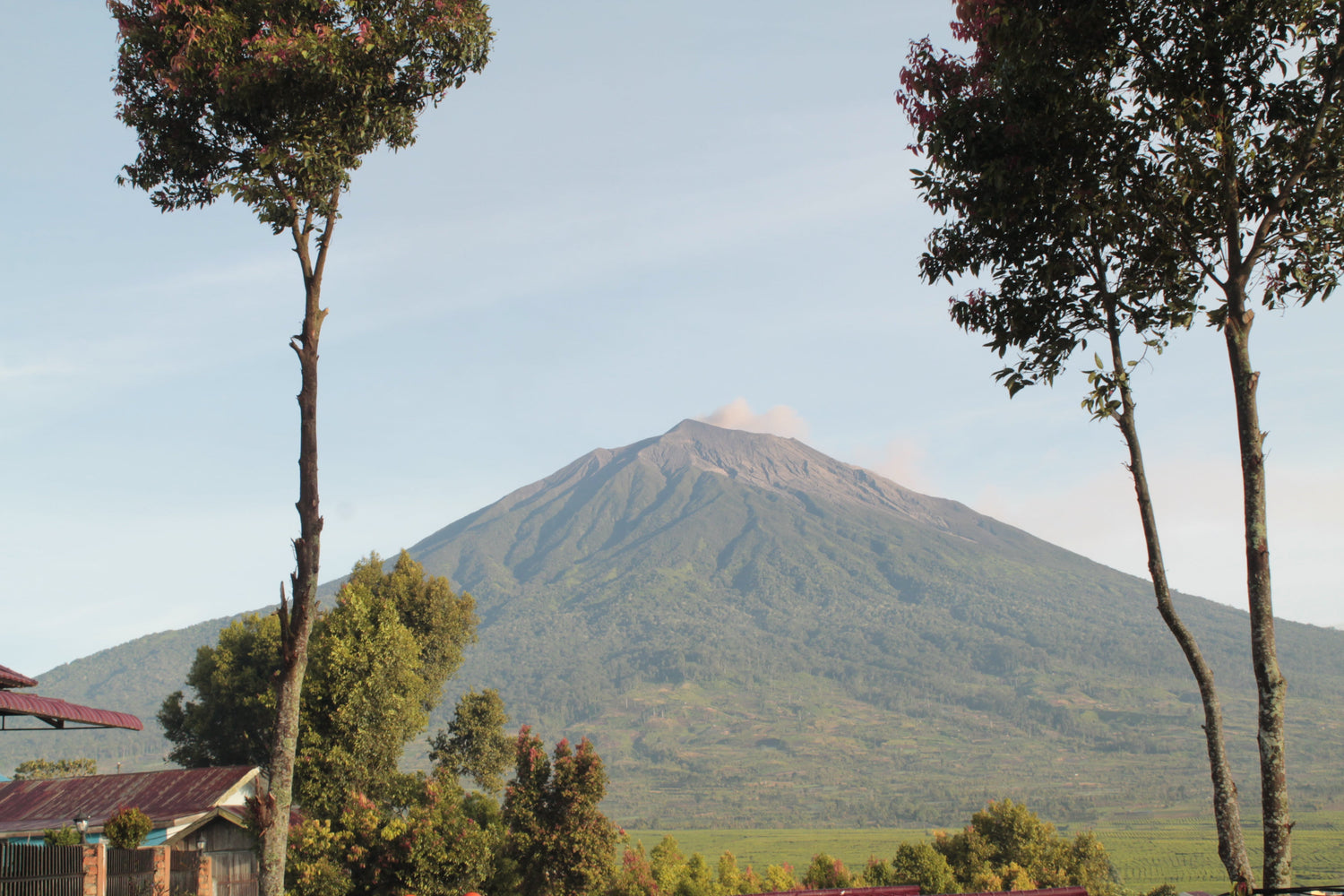 Barokah Kerinci