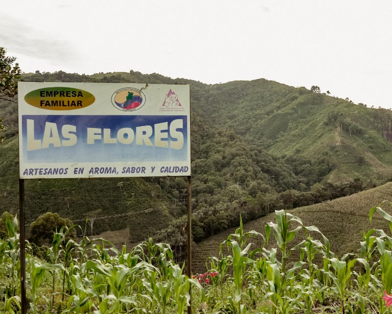 Las Flores PB