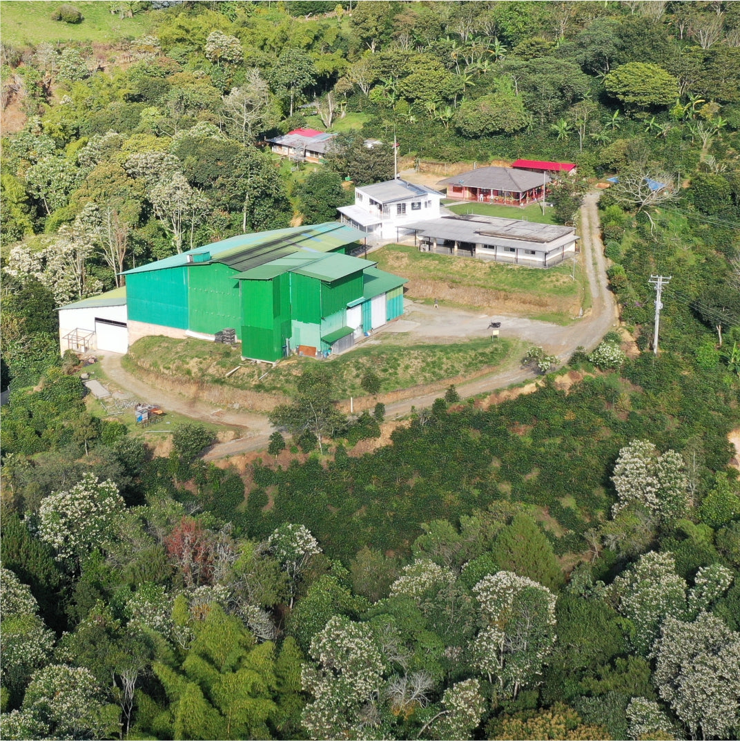 Finca El Paraíso - Red Plum Decaf