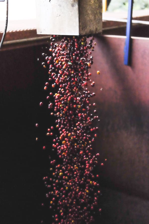 Tarazú